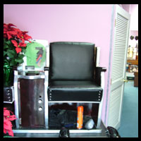 Show Shine Chair